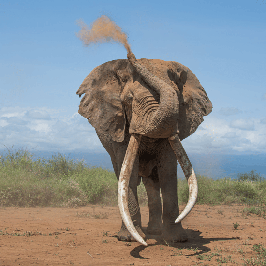 Untitled design - 2026-08-10T224746.954